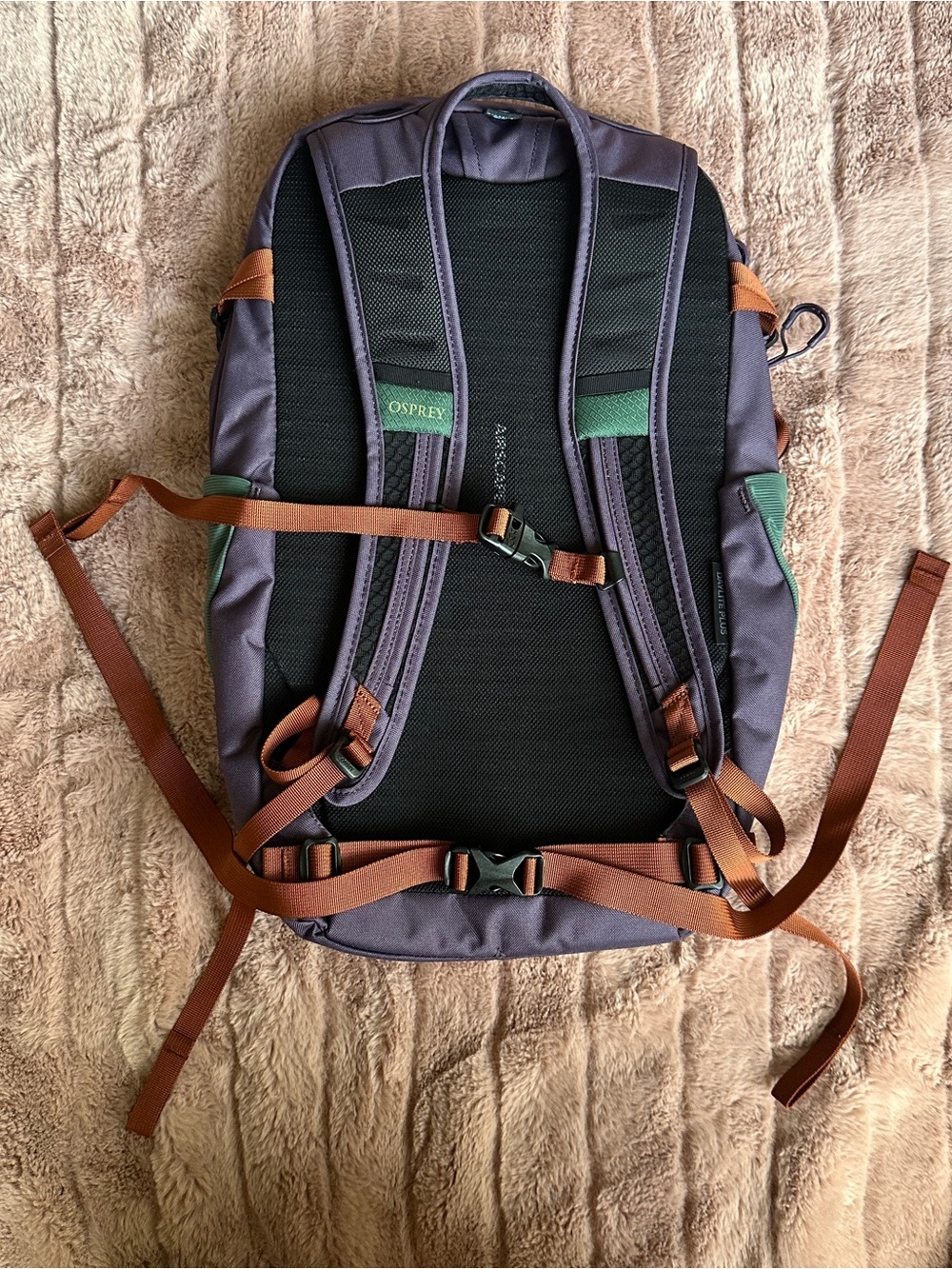 Osprey Daylite Plus Green Backpack - Picture 3 of 4